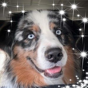 Meet your Posher, Leonoras